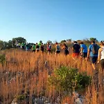 Mandolea